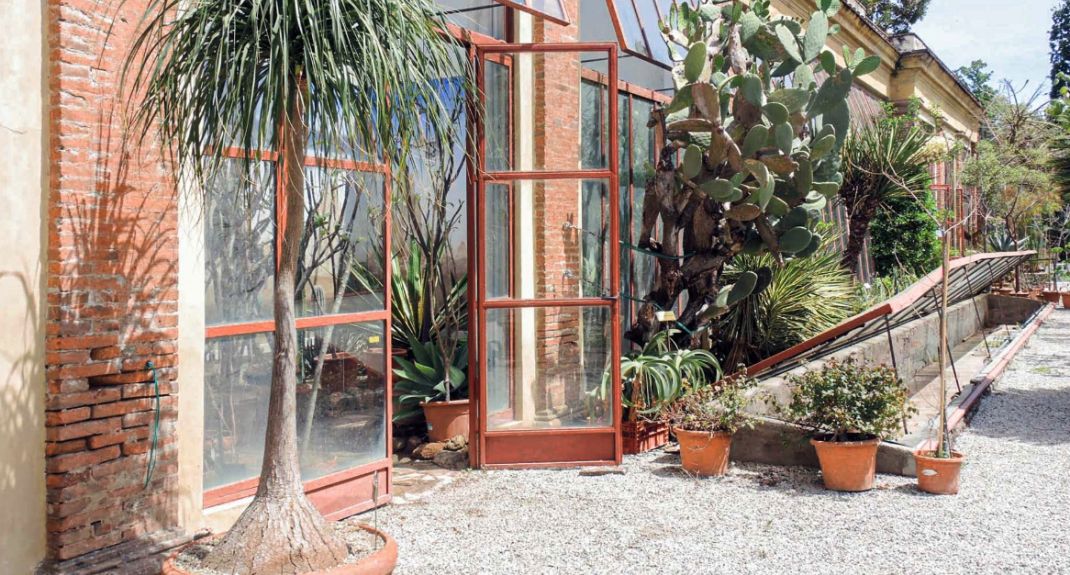 orto botanico nature